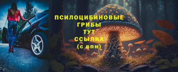 прущий лед Алексеевка