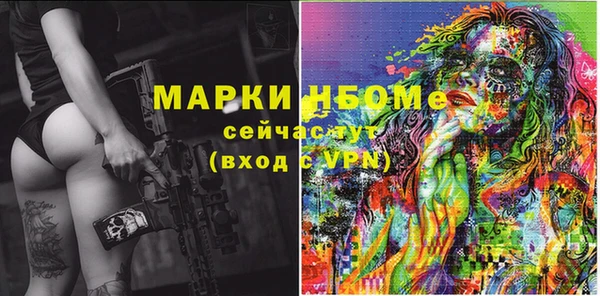 СК Пересвет
