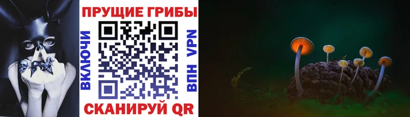 Галлюциногенные грибы мухоморы  Билибино 